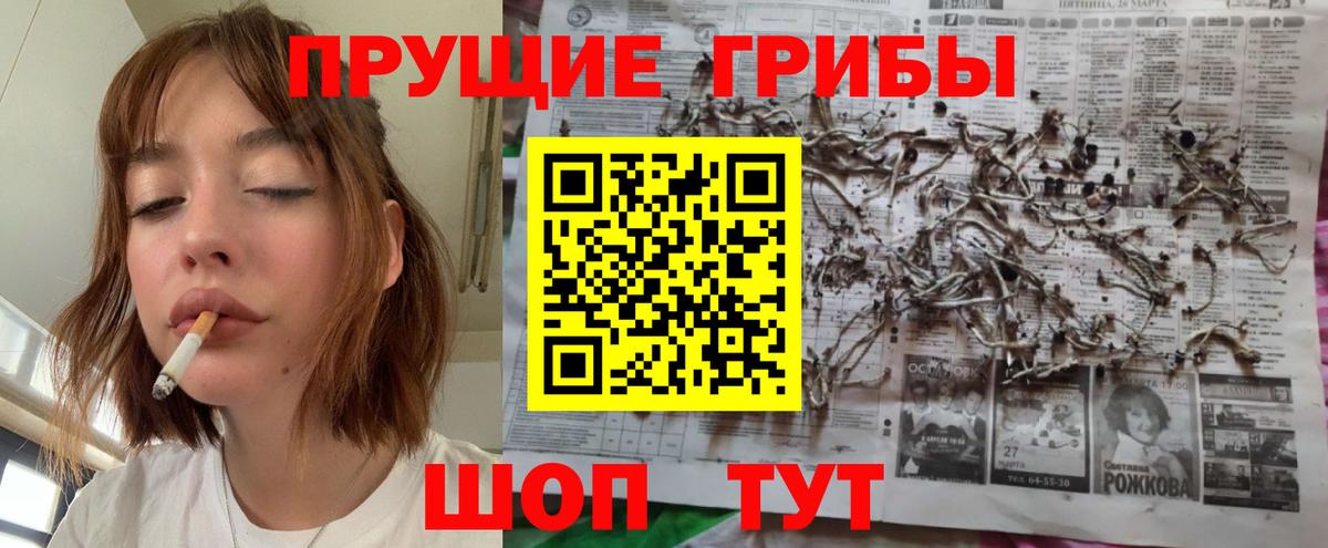 Галлюциногенные грибы Cubensis Семёнов